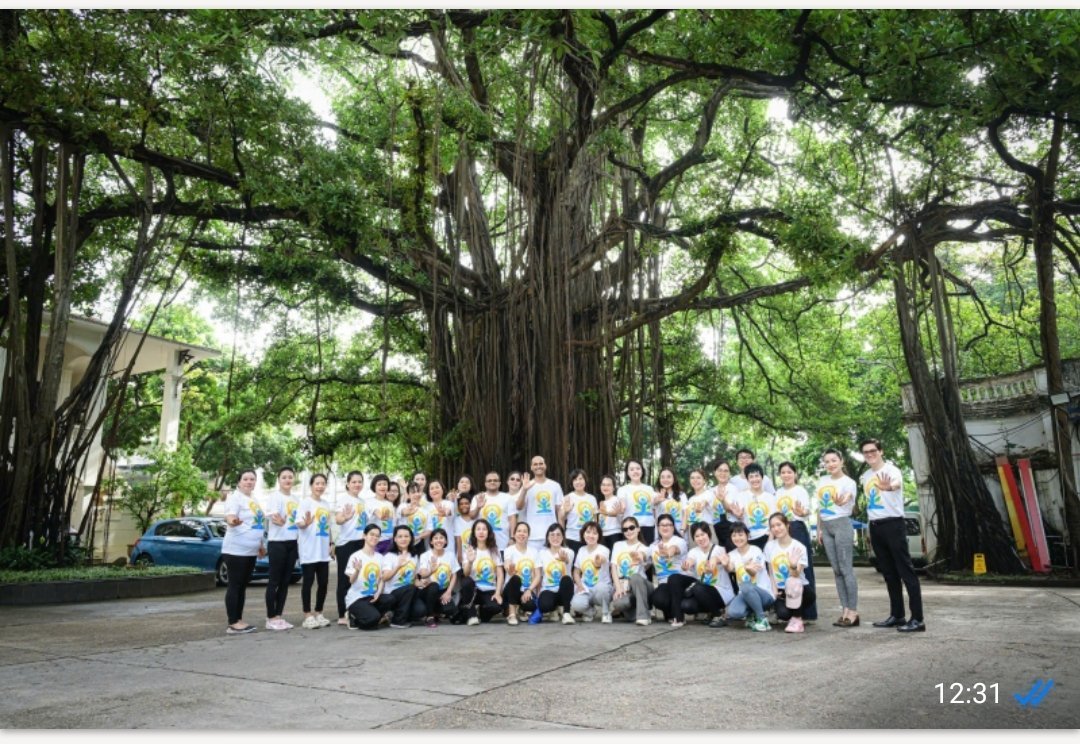 Yoga session at Nhan Dan Newspaper premises on 13 June 2026