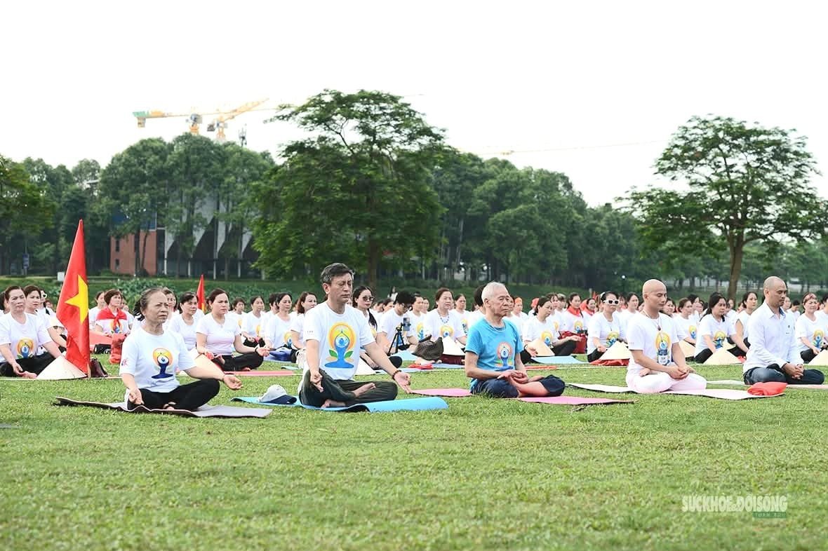 Yoga session in the run-up to the 12th International Day of Yoga on 14 June 2026